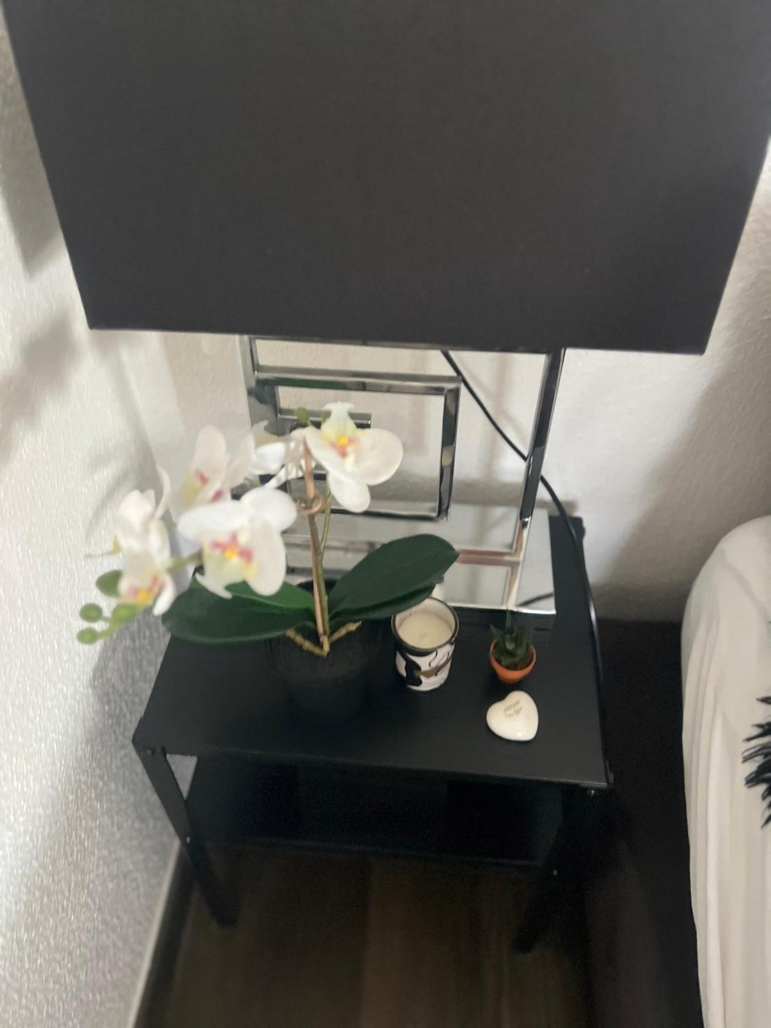 Studio Zürich Eksteriør bilde